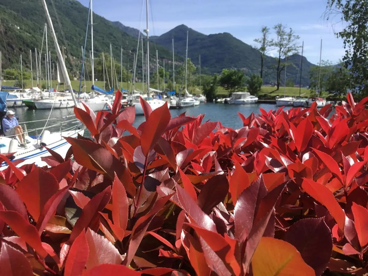 Apartment Comolakehome A Due Passi Dal Lago Dervio Italy